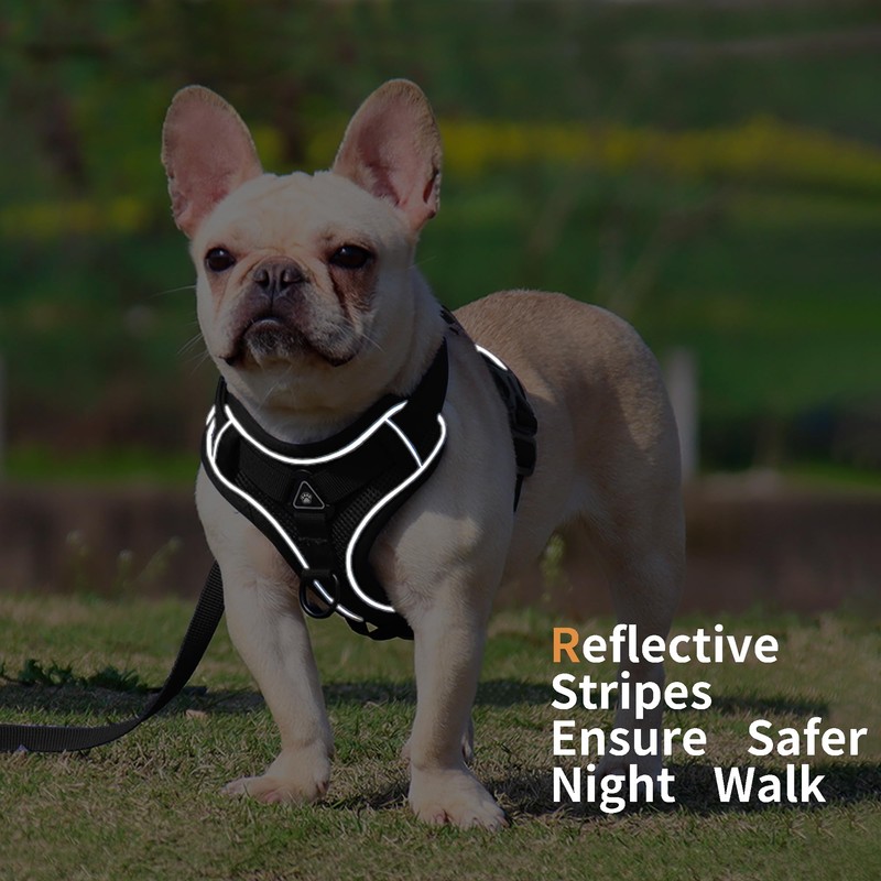 Jolifield No Pull Dog Harness with Leash Set for Medium