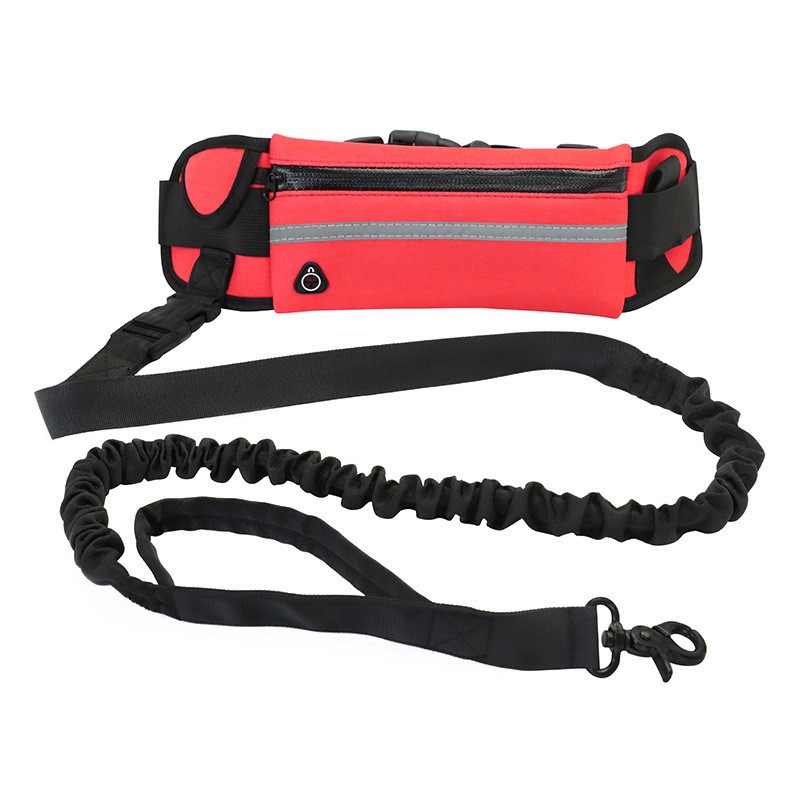 PawComfort Dog Leash Hands Free – Reflective Bungee Cord with