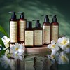 BODHI® Frangipani Shower Gel, 250 ml, Organic & Vegan, 98%