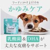 MOREMOTTO furico フリコ 犬 腸活 ふりかけサプリ 乳酸菌 皮膚 犬の腸内環境サプリメント 整腸剤