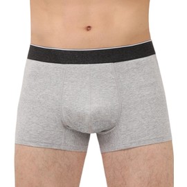 IRISMORII Mens Washable Incontinence Protective Underwear Reusable Bladder Leak Protection Boxer Brief 60 ml Absorbency 1 Pack (Gray, L)