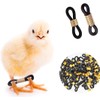 100 Pcs Black Durable Quail Leg Bands, Splay Leg Bands