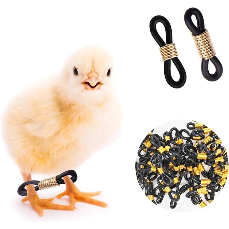 100 Pcs Black Durable Quail Leg Bands, Splay Leg Bands