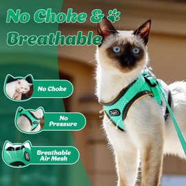 Supet Cat Harness and Leash Set - Soft Mesh Adjustable Cat Vest Harness with Reflective Strap for Walking Cat and Puppy Rabbit