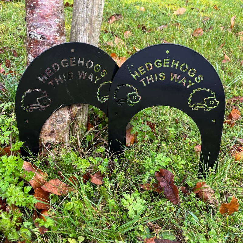 Selections Hedgehog Highway Fence Gates (Pack of 2)