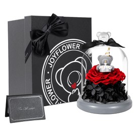 JoyFlower Preserved Flowers with Teddy Bear, Unique Pearl Roses Birthday Gifts for Women, Eternal Roses Cupid Bear in Glass Dome Gift for Mom Girlfriend Wife Her on Christmas, Anniversary(Red)