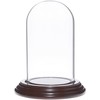 Plymor 2.5" x 4.5" Small Glass Display Dome Cloche (Dark