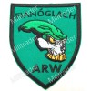 Ireland Irish Army Ranger Wing ARW Fianoglach Patch (Iron-on)