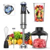 Ganiza Immersion Blender 5 in 1 Hand Blender Max 1000W