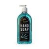 Delta Home Hand Soap Eucalyptus 16 Fl oz