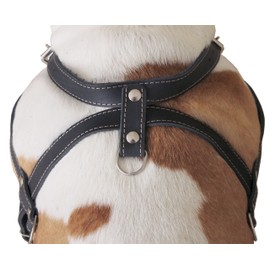 Leather Dog Pulling Walking Harness 33"-37" Chest, 1" Wide Straps. Pitt Bull, Boxer
