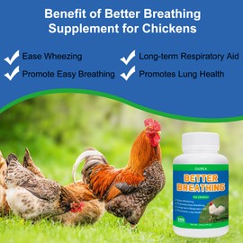Chickens Respiratory Supplement, Breathing Aid Pills for Chicken of All Breeds and Ages, Wheezing & Coughing Relief, Promote Lung Health, Natural, Gentle Formula, 300 Tablets Per Bottle