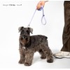 Ultra Lightweight Cat Leash Adjustable with Padded Handle, Soft Thin
