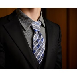 S&W SHLAX&WING Slim Men's Tie Blue Checked Silk Suit, blue