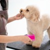 Double Sided Fine Tooth Comb for Adults Dog Cat Pet's