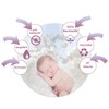 Lashuma Baby Bibs Set of 2 in Size 25 x