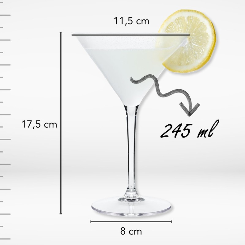 WUITOKI Plastic Martini Glasses 6 Pack 25cl Reusable Dishwasher Safe