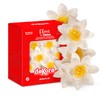 dekora – Fiori commestibili per torte – 10 margherite in