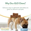 Ocu-GLO Cat & Dog Senior Supplement for Eye Support -