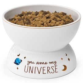 Tomxcute Elevated Cat Food Bowl - Ceramic Raise Cat Bowl, Anti Vomiting Whisker Free Cats Water Bowl for Cats and Small Dogs, Dishwasher and Microwave Safe