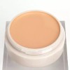 Gita 인기 커버메이크업 파운데이션 16g 21호 내추럴베이지 Popular Cover Makeup Foundation 16g #21 Natural Beige