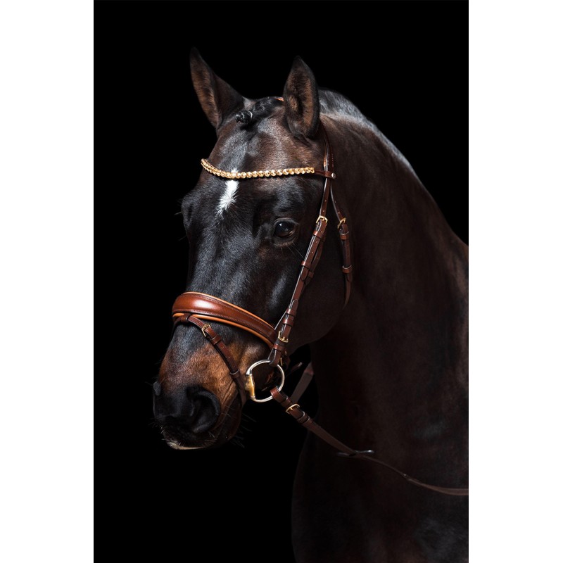 HKM Marrakesh Snaffle 2100 Dark Brown Warmblood