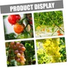 CIYODO Plant Trellis Netting Flexible Plant Support for Orchards Gardens