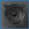 A ABSOPRO 2 x 8 inch speaker cover grill black