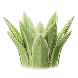 Scentsy Aloe Vera Warmer