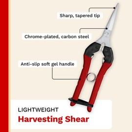 The Harvest Company Bonsai Shear, 6.29 Inch Non-Stick Garden Shears, Stainless Steel Fluorine-Coated Blade, Gardening Scissors