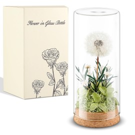 Blulu Dandelion Wish Filler Gifts for Women Real Dandelion in Glass Preserved Flowers in Glass Gifts for Birthday Wedding Christmas Mum Grandma Girlfriend