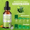 2 Pack Soursop Graviola Liquid Drops - 100% Pure Organic