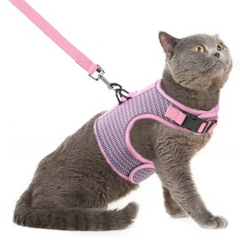PUPTECK Soft Mesh Cat Vest Harness and Leash Set Puppy Padded Pet Harnesses Escape Proof for Cats Small Dogs Rabbits Bunny