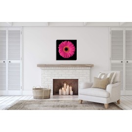Gango Home Décor Pink Gerbera Daisy, Fine Art Photograph by: Jim Christensen; One 24x24in Hand-Stretched Canvas