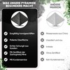 PURAJA Shungite Pyramid Original from Karelia Polished Contains Fullerenes with