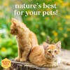 Burt's Bees™ Champú Hipoalergénico para Gatos con Manteca de Karité