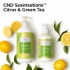Creative Scentsations Citrus & Green Tea Lotion 8.3 oz. by