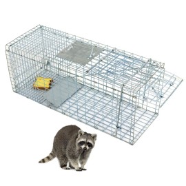 Segawe Animal Trap Steel Cage for Small Live Rodent Rat Squirrel Raccoon Iron 32" x 12“