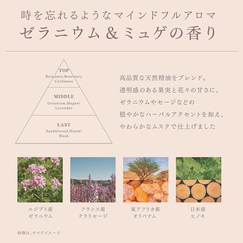 melt Moist Conditioning Water Hair Lotion, 6.1 fl oz (170