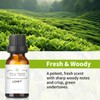 LOXIM Tea Tree Essential Oil, Pure Natural Essential Oils, Fragrance