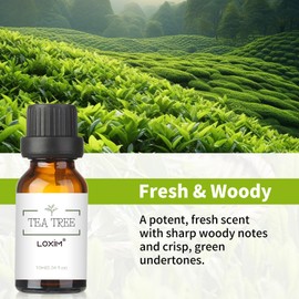 LOXIM Tea Tree Essential Oil, Pure Natural Essential Oils, Fragrance Oil Perfect for Humidifiers, Diffusers, Candle Making, Scent Home and Office