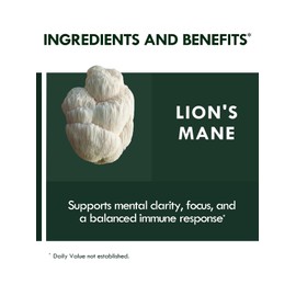 Biodepot Mushroom Gummies with Lions Mane & Ashwagandha – Herbal Supplement for Focus, Immunity, Sleep Support & Energy-Boosting