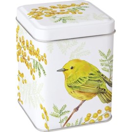 IHR SPRINGTIME BIRD & BERRIES Tea Caddy - Square Kitchen Storage Tin - Yellow/Orange/Green - 10 cm
