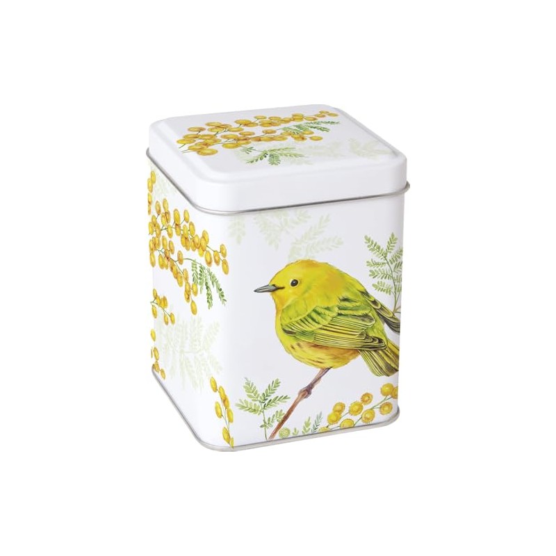 IHR SPRINGTIME BIRD & BERRIES Tea Caddy - Square Kitchen