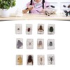 12 Pcs Real Bug Specimens Transparent Resin Science Education Classroom