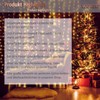 VOLTRONIC LED Lichterkette, IP44, Modell- und Farbwahl, 100 LEDs, Transparentes