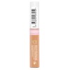 CoverGirl Clean Fresh Hydrating Concealer 0.23oz, #340 LIGHT - Pack