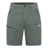 Jack Wolfskin Pico Trail Men's Hiking Shorts M