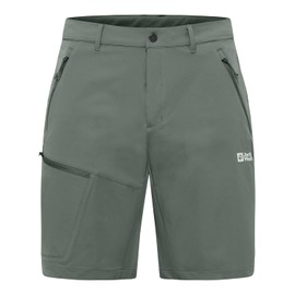 Jack Wolfskin Pico Trail Men's Hiking Shorts M