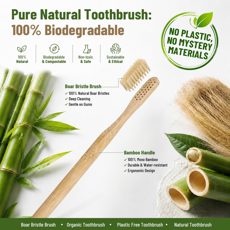 4-Pack Natural Boar Bristle Toothbrush for Adults